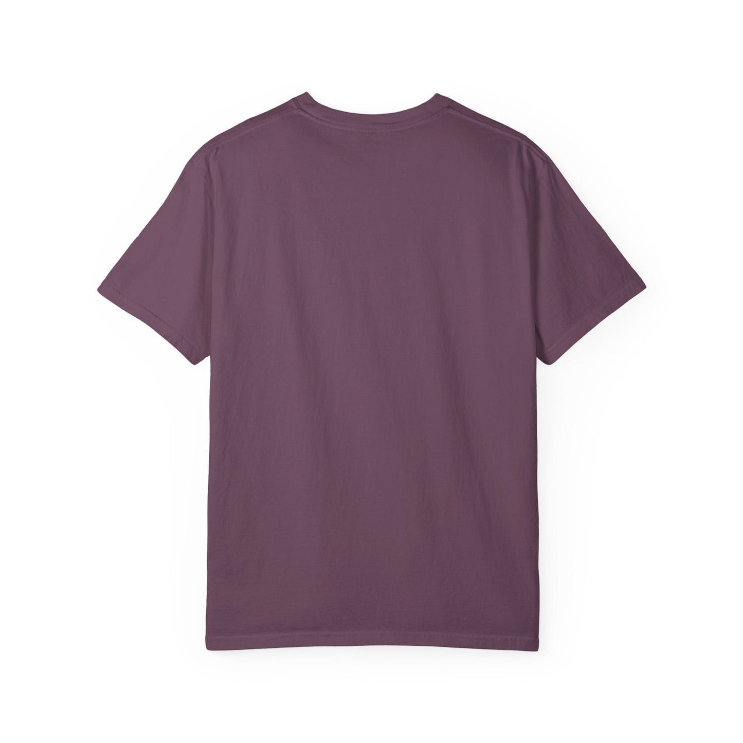 Five Star Accomodations T Shirt